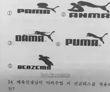 체육쌤이 인기 많은 이유