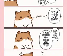 무지개다리를 건넌 햄스터 이야기.manhwa