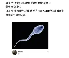 정자 하나에는 37.5MB의 정보가 있습니다.