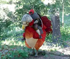 붉은사막) 초코보 탈것도 있네