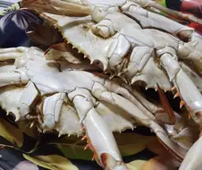 주식 달달 하다