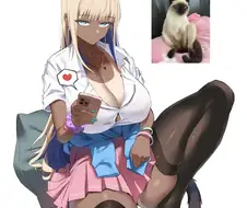 샴고양이 = 태국 흑갸루
