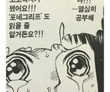 원피스 밀짚모자 일당의 공통점