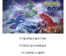 포켓몬 그란돈 가이오가 관계는 사실…