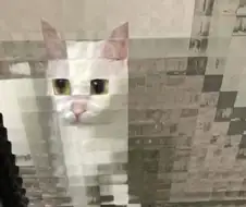 네모네모고먐미가 애교를 부리면????