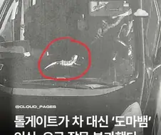 톨게이트가 잘못된 과태료로 인식한 이유