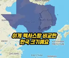 Kpop아이돌 이해 못하는 미국인