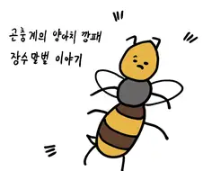 곤충계의 양아치 깡패 장수말벌 이야기.manhwa