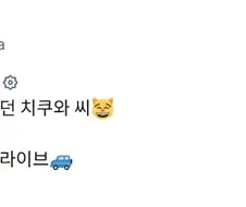 조수석에 타는 걸 좋아했던 고양이.CAT