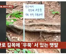 정신나간 등산모임 놈들