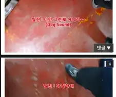 시청 일자리지원센터에서 구직알선 받으면 안되는 이유