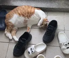 넌 모찌나간다