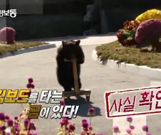촉법 킥보드 소년들보다 상위존재
