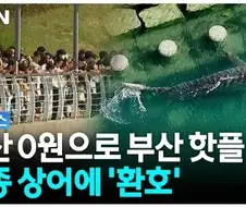어딘가에는 폭력적인 부산 상어 관련 썸네일.jpg