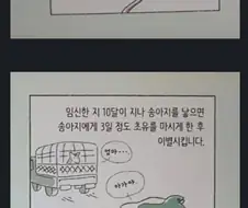 몰입하면 우유 먹기 힘들어진다는 젖소의 일생.manwha