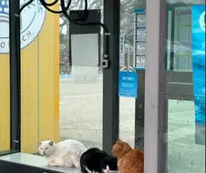 버스정류장 난방 벤치.jpg