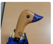 이거 아는 사람 전부 대장내시경 받으러 가라는 짤
