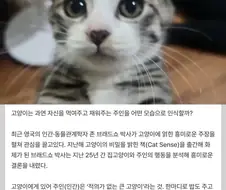 고양이는 집사를 큰고양이라고 인식한다.jpg
