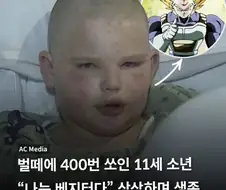 고도로 발달한 팬심은 정신력과 구분할수 없다.