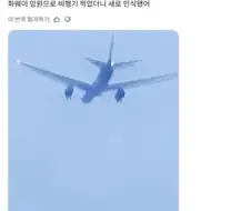 화웨이 폰으로 비행기를 찍었더니 새가 되어버렸다.jpg
