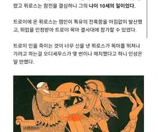 오디세이 헥토르 가족들에게 생긴 일.