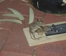 "아직... 따뜻해..."