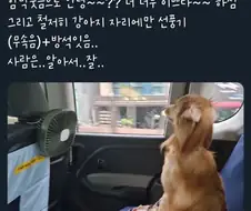 택시탔는데 손님에게 정색을...