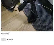 길고양이들이 울집고양이 ○간하려고 노리고 있음.jpg