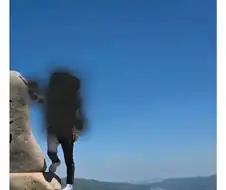천황산 꼭대기에 유기된 강아지
