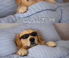 앉으나 서나 걱정 뿐이예요.jpg
