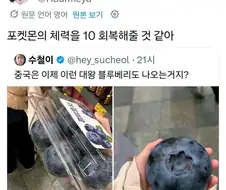 중국은 이제 이런 대형 블루베리도 나오는거지?