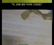 귀하게 자라진 않았지만 인생살며 이런 것도 봐야 되냐….jpg