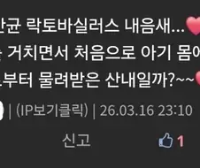 디씨 수준 봐라