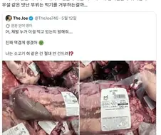 소혀 보고 극혐하는 미국인.jpg
