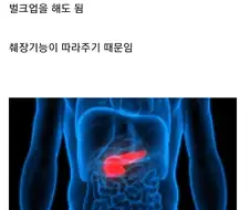 한국인 주제에 서양 사람처럼 먹으면 절대 안되는 이유