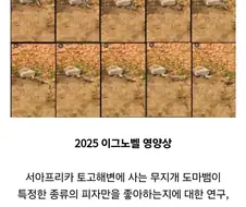 콰트로치즈피자가 제일이며 이는 무지개