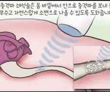 물을 자주 잘 마셔야하는 이유