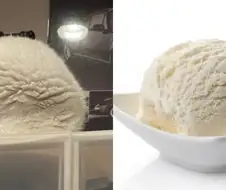 고양이와 아이스크림