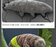 이젠 물곰도 평생 증명하고 살아야 함 ㄷㄷ;;.jpg
