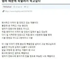 엄마 때문에 쪽팔려서 죽고 싶다는 개드리퍼