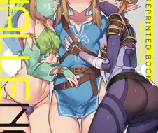 젤다 vs 원신