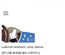 라틴어로 말하면 개간지나는 이유