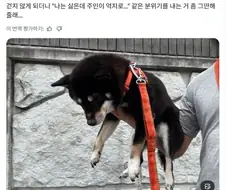 너가 나오자고 햇자나....