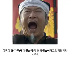 일본 전국시대 괴인