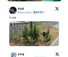 텃밭 초보들이 가장 많이 하는 실수