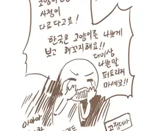 사람들이 캣맘을 싫어하는 이유