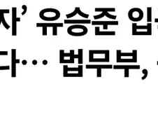 스티븐 유가 한국행 포기한이유