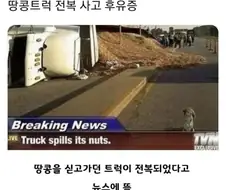 땅콩트럭이 전복되었다