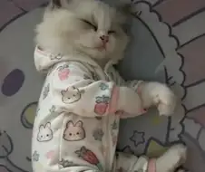 버리는 아기옷 재활용