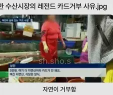 수산시장 말퓨리온